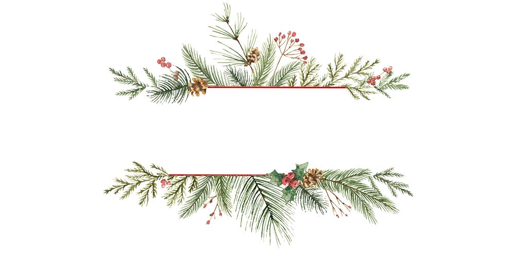 Nan's Plum Puddings | With love, from our home to yours...
